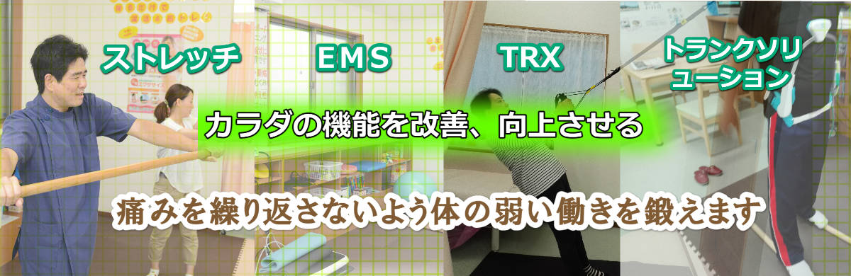 上水戸整体院｜水戸市で腰痛・ヘルニア・足底腱膜炎治療が評判の上水戸整体院画像メイン
